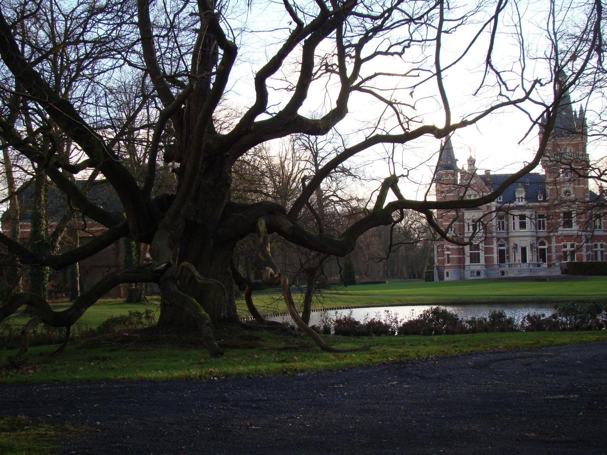 B&B Sogni D'Oro Lovendegem Eksteriør bilde
