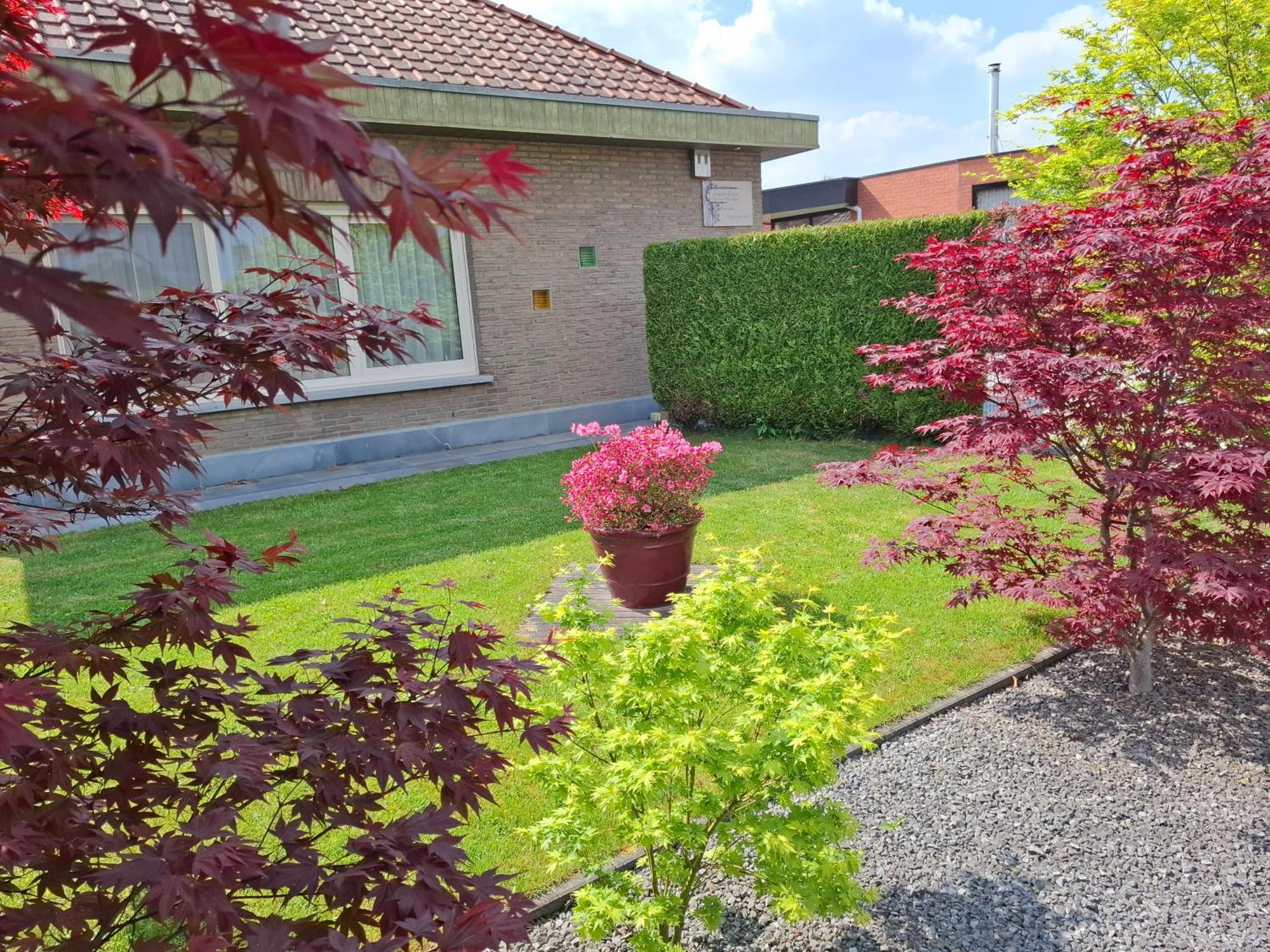 B&B Sogni D'Oro Lovendegem Eksteriør bilde